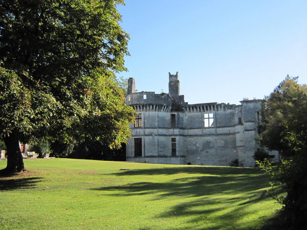 Chateau De Veuil Exterior foto