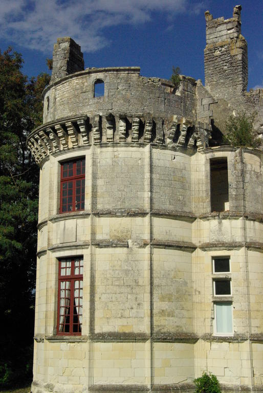 Chateau De Veuil Exterior foto